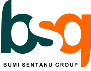 LOGO BSG